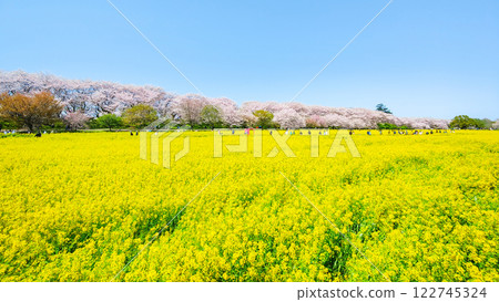 Gyodo神社 122745324