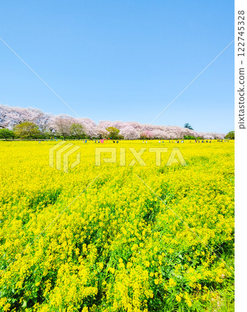 Gyodo神社 122745328