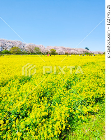 Gyodo神社 122745329
