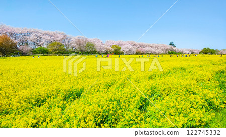 Gyodo神社 122745332