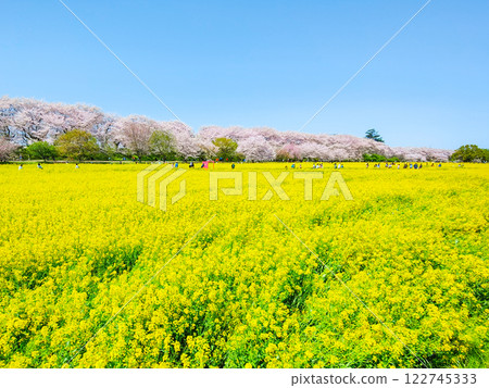 Gyodo Shrine Gyodo Shrine 122745333