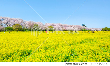 Gyodo Shrine Gyodo Shrine 122745334