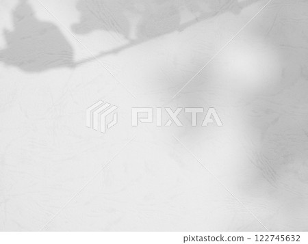 Shadow Background wall Light white Abstract Backdrop Sunlight Sun Mockup Overlay Minimal Summer Gray Photography Black Modern Art Architecture Surface Bright Shape Leaves Branch Nature Smoot Desight. 122745632