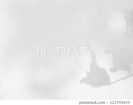 Shadow Background wall Light white Abstract Backdrop Sunlight Sun Mockup Overlay Minimal Summer Gray Photography Black Modern Art Architecture Surface Bright Shape Leaves Branch Nature Smoot Desight. 122745633