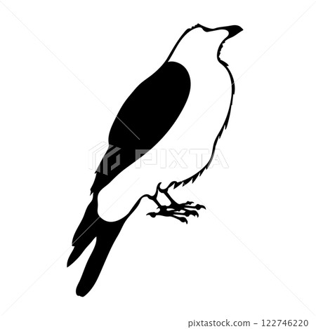 Bird Raven Crow Black Silhouette for Icon. Bird Raven Crow Black Silhouette for Icon. 122746220