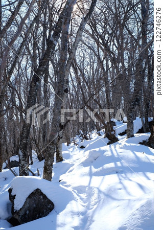 走在一座雪山上 122746276