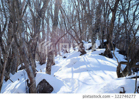 Searching for footprints in the snowy mountains Searching for footprints in the snowy mountains 122746277