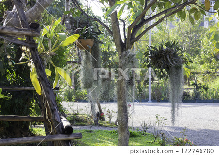 Coffee cafe shop or tropical cafeteria concept exterior Coffee cafe shop or tropical cafeteria concept exterior 122746780