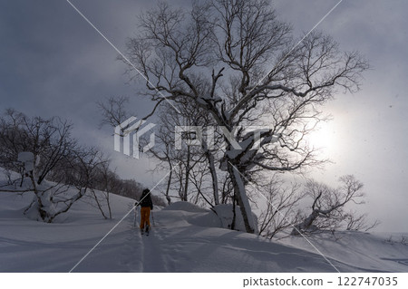 新雪谷登山滑雪 122747035