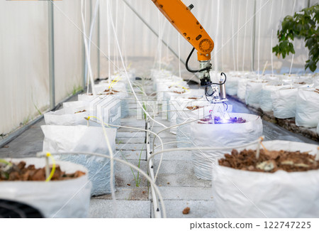Smart robot farmer in agriculture Future automatic robot arm picks fruit Agricultural technology Smart robot farmer in agriculture Future automatic robot arm picks fruit Agricultural technology 122747225
