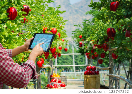 Concept farmers use technology tablets to monitor agricultural in apple garden Concept farmers use technology tablets to monitor agricultural in apple garden 122747232