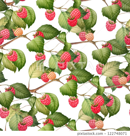 Raspberry seamless pattern with berries and leaves, hand-drawn botanical illustration. Raspberry seamless pattern with berries and leaves, hand-drawn botanical illustration. 122748071