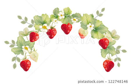 Illustration of strawberry drawn in watercolor 122748146