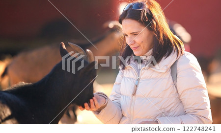 Woman feeding an african dwarf goat on a farm Woman feeding an african dwarf goat on a farm 122748241