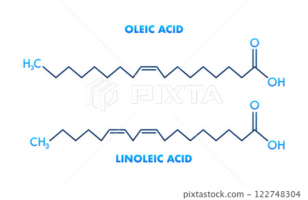 Oleic Acid and Linoleic Acid Structural Chemical Formulas Showing Differences Oleic Acid and Linoleic Acid Structural Chemical Formulas Showing Differences 122748304