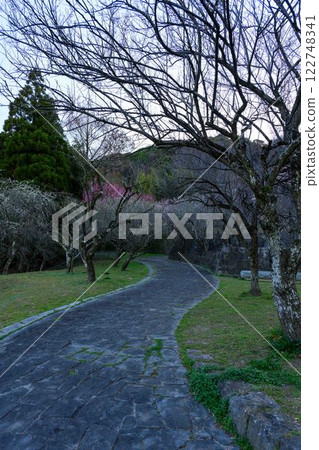 "Hyakubai-en" where the pretty red, pink and white plum blossoms can be seen from the promenade in Shimazaki, Nishi-ku, Kumamoto City "Hyakubai-en" where the pretty red, pink and white plum blossoms can be seen from the promenade in Shimazaki, Nishi-ku, Kumamoto City 122748341