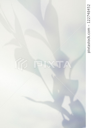 Dreamy plant shadow effect, cover image Dreamy plant shadow effect, cover image 122748452
