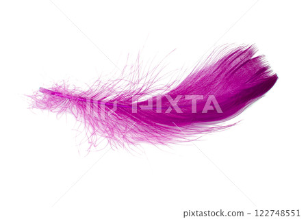 Pink elegant bird feather isolated on the white background Pink elegant bird feather isolated on the white background 122748551