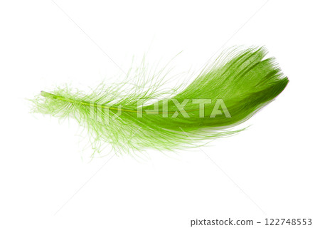Green elegant bird feather isolated on the white background Green elegant bird feather isolated on the white background 122748553