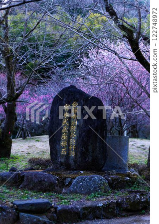 Beautiful plum blossoms - Tourist attraction "Zazen Stone associated with Miyamoto Musashi" - Taniozaki Plum Grove Park (Kumamoto City) 122748972