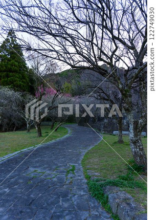 View of Umezono Park from the promenade "Hyakubai-en, where the lovely plum blossoms are in full bloom" Shimazaki, Nishi-ku, Kumamoto City 122749030