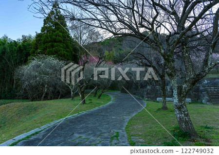 View of Umezono Park from the promenade "Hyakubai-en, where the lovely plum blossoms are in full bloom" Shimazaki, Nishi-ku, Kumamoto City 122749032