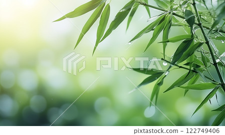 Bamboo leaves. The sun is shining through the leaves. Leaves are green and lush. 122749406