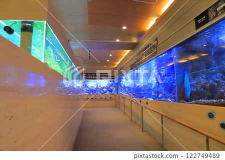 板橋區熱帶環境植物館迷你水族館 板橋區熱帶環境植物館迷你水族館 122749489