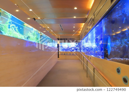 Itabashi Ward Tropical Environment Botanical Museum Mini Aquarium Itabashi Ward Tropical Environment Botanical Museum Mini Aquarium 122749490