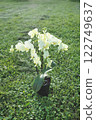 Beautiful white flower, Phalaenopsis Beautiful white flower, Phalaenopsis 122749637