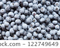 Blueberries harvested in abundance Blueberries harvested in abundance 122749649