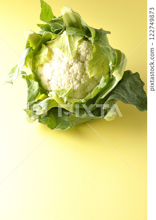 菜花 菜花 122749873