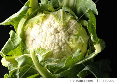Cauliflower photographed against a black background 122749909
