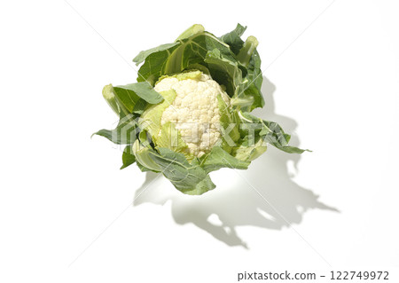 白色背景下拍攝的花椰菜 白色背景下拍攝的花椰菜 122749972