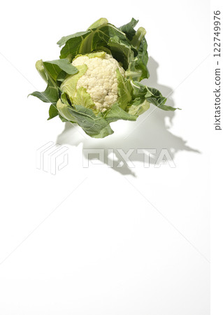 白色背景下拍攝的花椰菜 白色背景下拍攝的花椰菜 122749976