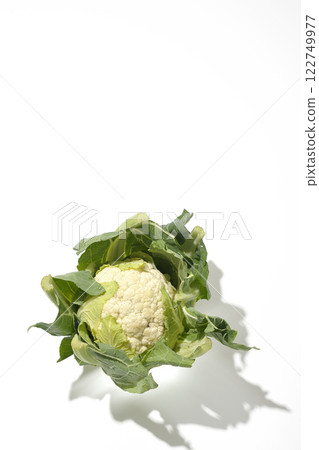 白色背景下拍攝的花椰菜 122749977
