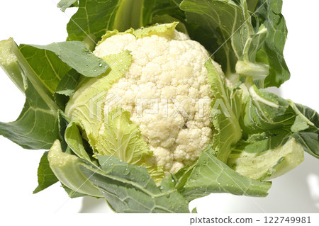 Cauliflower photographed on a white background 122749981