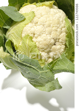 Cauliflower photographed on a white background Cauliflower photographed on a white background 122749986