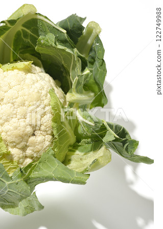 Cauliflower photographed on a white background Cauliflower photographed on a white background 122749988
