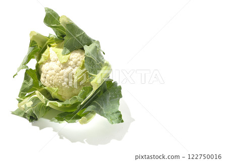 白色背景下拍攝的花椰菜 白色背景下拍攝的花椰菜 122750016