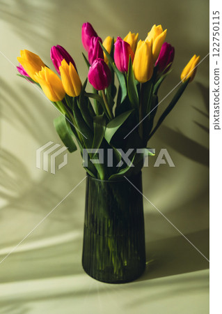 Multicolored fresh tulips in vase in green background with trendy deep shadows. Spring flowers in yellow and violet colors. Postcard wallpaper design Multicolored fresh tulips in vase in green background with trendy deep shadows. Spring flowers in yellow and violet colors. Postcard wallpaper design 122750115