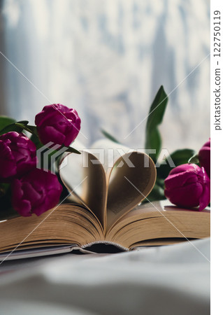Book pages folded into heart with pink fresh tulips on white bed with trendy deep shadows. Spring flowers gift present. Concept of love literature and education Romantic date postcard wallpaper design Book pages folded into heart with pink fresh tulips on white bed with trendy deep shadows. Spring flowers gift present. Concept of love literature and education Romantic date postcard wallpaper design 122750119