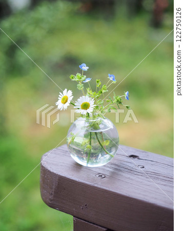 可愛的野花佈置 122750126