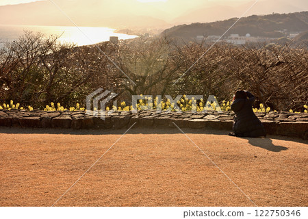 Kanto, Azumayama Park, A girl with a camera takes pictures of the sparkling spring sea on the grassy area at the top of the mountain, bathed in the afternoon sun, Ninomiya Town, Kanagawa Prefecture (1) 122750346