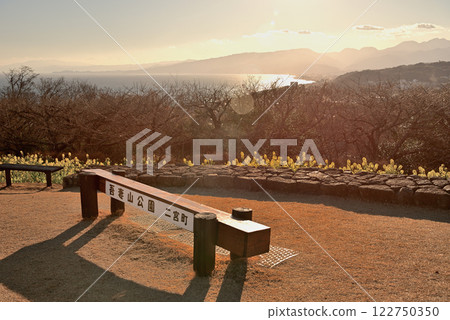 神奈川縣二宮町關東、吾妻山公園、沐浴著午後陽光的山頂草地和閃閃發光的春海（1） 122750350
