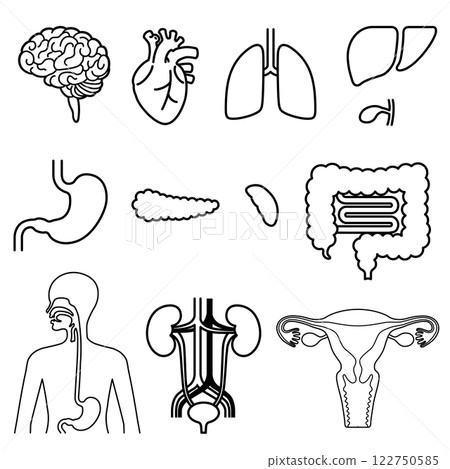 Human organs set 122750585