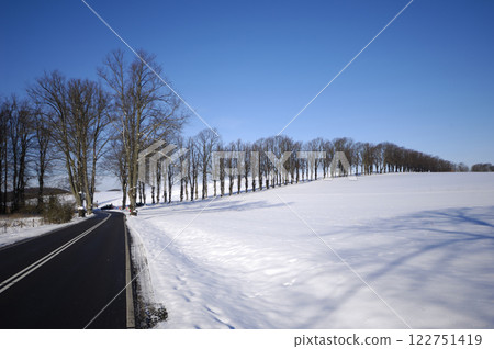 Trees on hill at winter 122751419