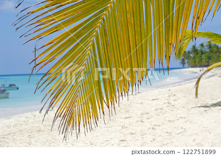 Palm leaf hanging over exotic beach 122751899