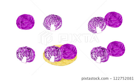 Set of red cabbage (purple cabbage) Hand-drawn watercolor illustrations of fresh vegetables 122752081