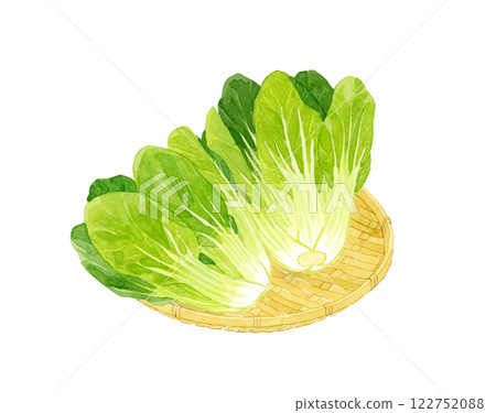 竹籃裡的大白菜 手繪水彩畫的新鮮蔬菜 122752088